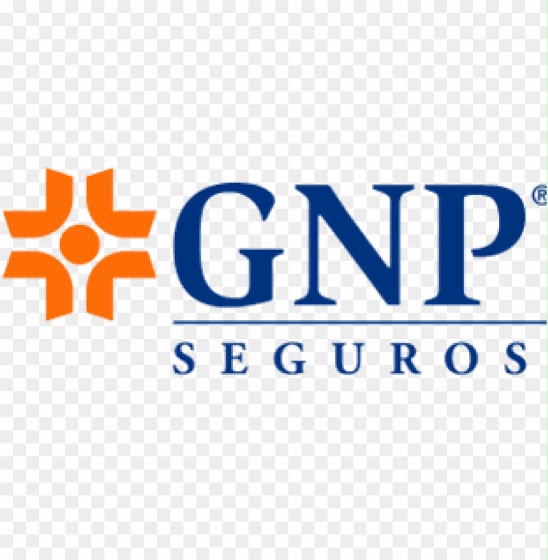 GNP